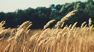 网站ddos隐藏源ip