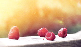 免费下载永久的ddos接单平台